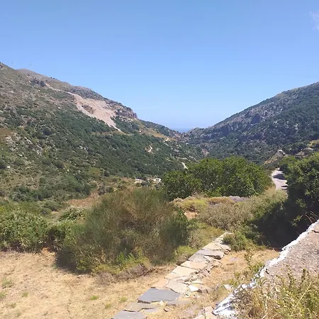 Aiolida