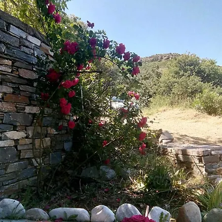 Aiolida Holiday home Karystos (Evia)
