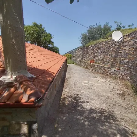 Aiolida