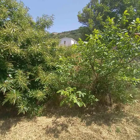 Aiolida Karystos (Evia)